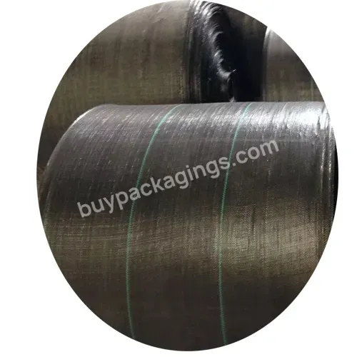 China Good Quality Black Pp Woven Fabric Ground Cover