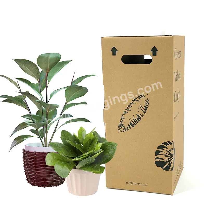 China Oem Custom High-quality Rigid Cardboard Luxury Lamination Corrugated Paper Box Nails Gift Cosmetics Packaging Carton Box