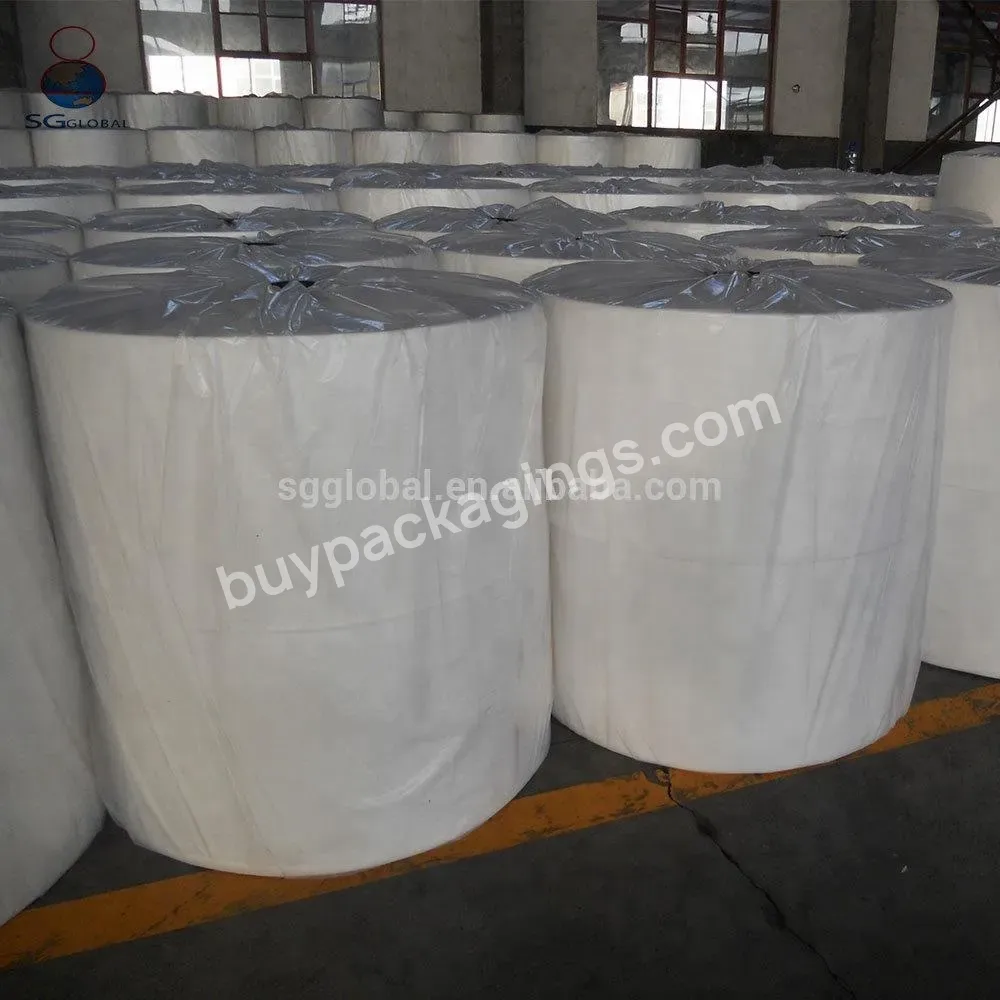 China Polypropylene Spunbond Nonwoven Pp Non Woven Fabric Manufacturer For Medical Surgical Masks