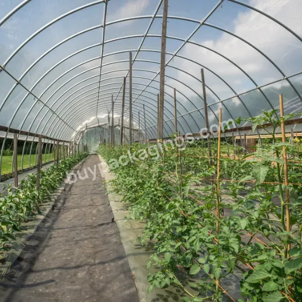 China Tomato Film Greenhouse Structure For Sale