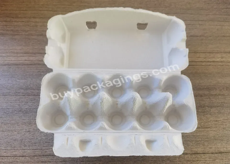 Classic Looks Dozen 10 Cells Disposable Paper Pulp Egg Cartons Molded Fiber Empty Containers For Hens Chicken Duck Quail Use