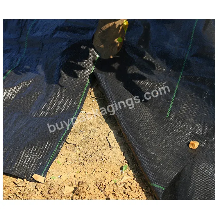 Coir Mulch Matts Coconut Coir Fibre Moisture And Weed Control Mulch Mat For Growing Plants And Tree Mulch Ring Sustainable - Buy Weed Control Mulch Mat For Growing Plants,Mat For Growing Plants,Mat For Growing Tree.