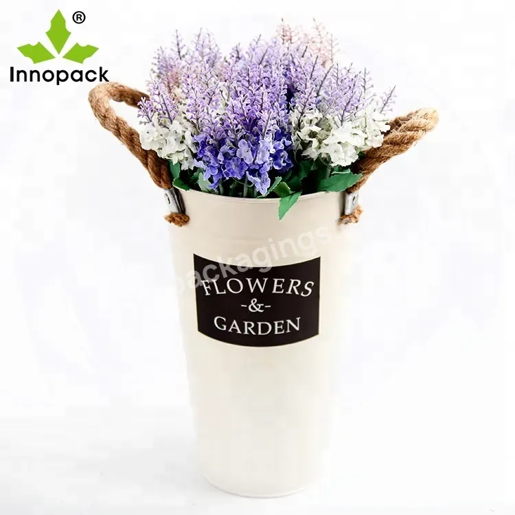 Colourful Small Galvanized Metal Vase Plant Planter Flower Buckets/pot For Kids - Buy Vase Metal,Flower Pot Garden,Small Flower Pot.