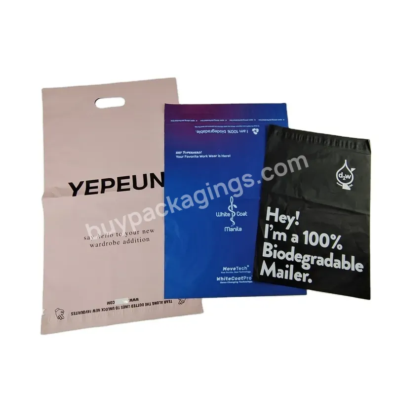 Courier Pouch Recyclable E-commerce Mail Bags Custom Logo Poly Envelopes Courier Shipping Bags With Hanger Hole