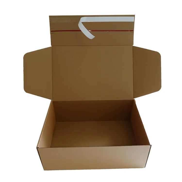 Custom brown self seal postal biodegradable shipping box zipper closure for shoes