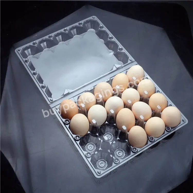 Custom Clamshells Plastic Reusable Quail Egg Clear Pet Plastic 6 15 Holes Egg Packaging Tray Plastic Box For Eggs