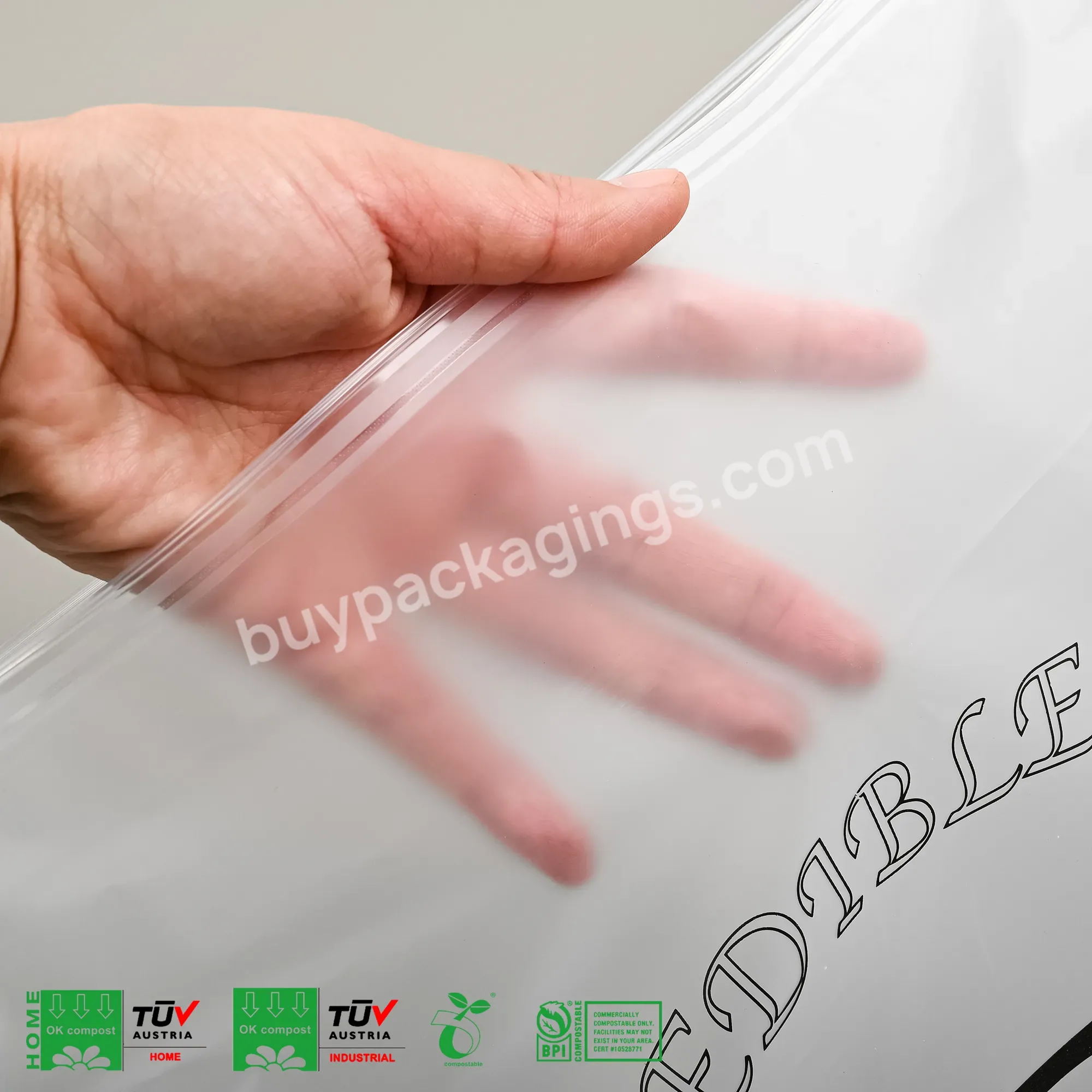 Custom Clear Frosted Bags Clothing Packaging Plastic Printed Mailing Ziplock Zipper Poly Bag Withsuffocation Warning