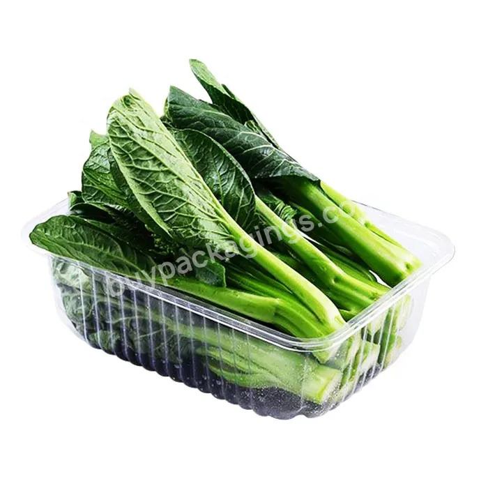 Custom Clear Plastic Blister Pet Fruit Disposable Meat Tray Vegetable Fruit Food Packaging Tray