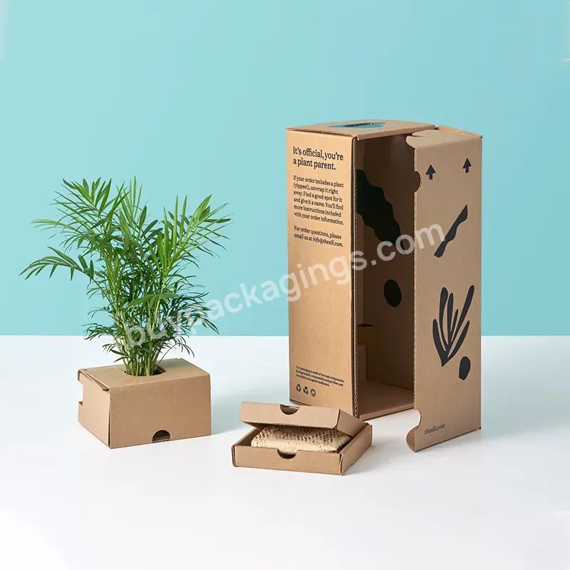 Custom Corrugated Flat Cardboard Boxes Plant Gift Box Packaging