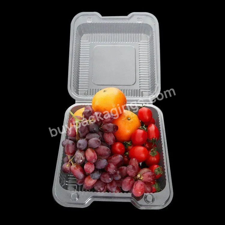 Custom Disposable Plastic Fruit Clamshell Square Packing Container Clear Food Container With Hole