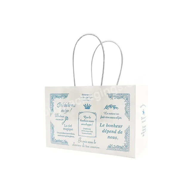 Custom High-end Luxury Shopping Paper Bag For Women Clothes Boutique