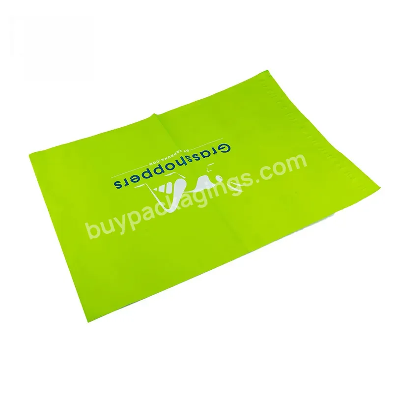 Custom Logo Mailer Bag Pe Plastic Bags 10x13 Courier Envelope Bag For Clothing And Small Business