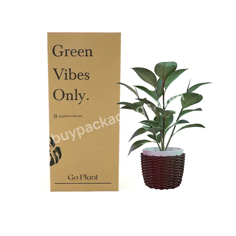 Custom Logo Packaging Plant Shipping Boxes Potted Live Natural Plant Corrugated Packaging Plant Paper Boxes With Insert