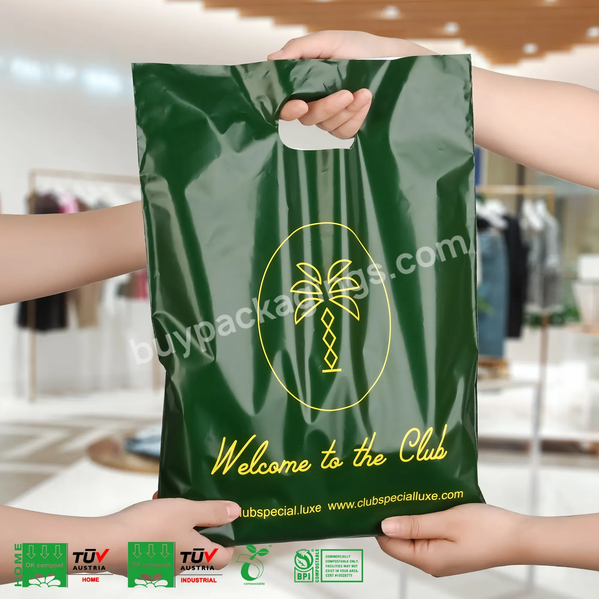 Custom Logo Printed Handle Plastic Shopping Bags,Biodegradable Die Cut Shopping Plastic Packaging Bag