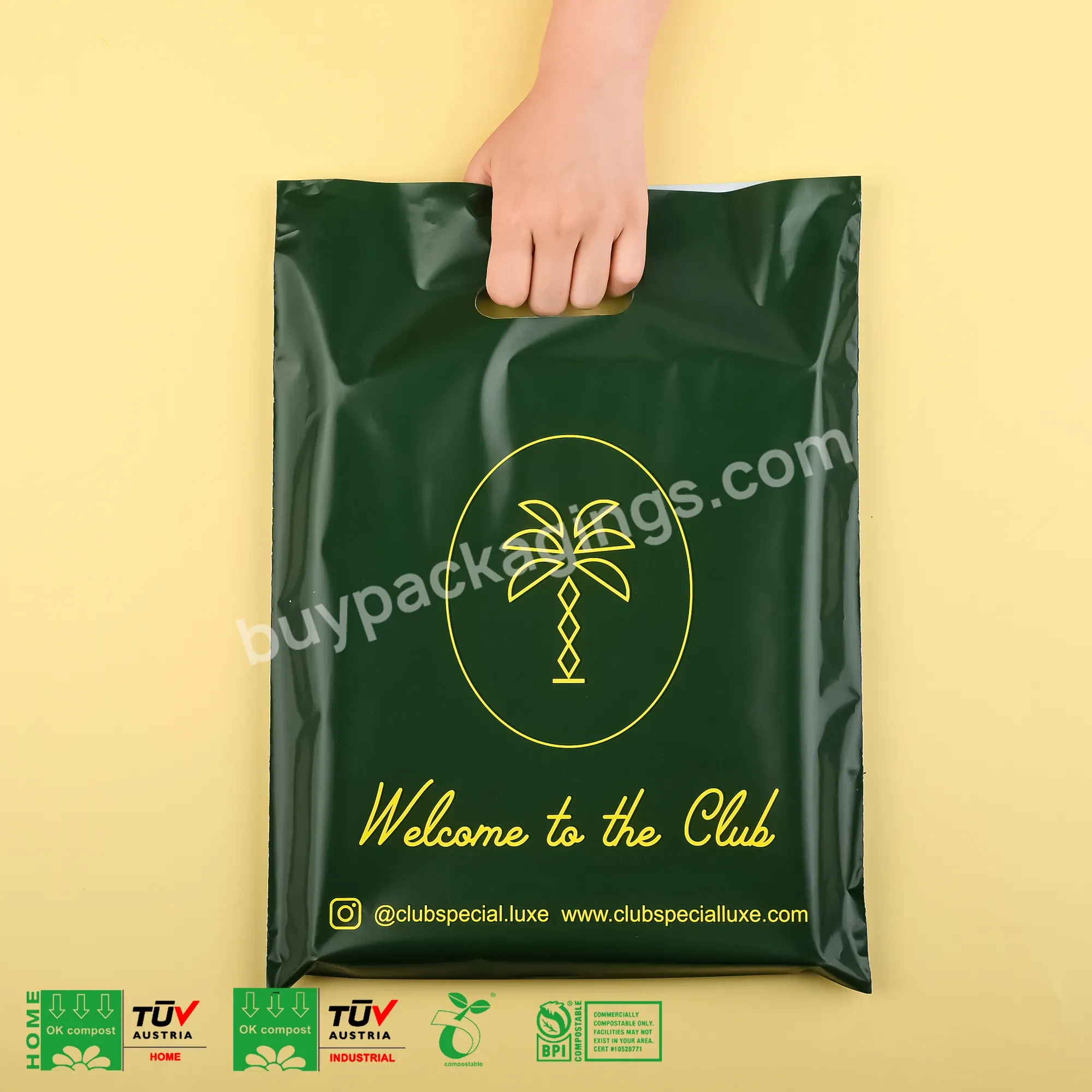 Custom Logo Printed Handle Plastic Shopping Bags,Biodegradable Die Cut Shopping Plastic Packaging Bag