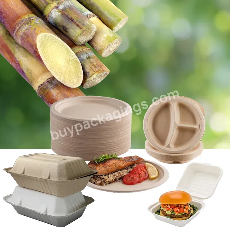 Custom Personalise Restaurant To Go Take Away Takeaway Lunch Carry Packaging Disposable Pla Rectangle Bagesse Takeout Food Boxes