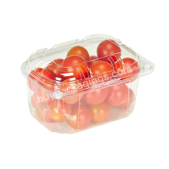 Custom Plastic Clear Clamshell Fresh Fruit And Vegetable Storage Salad Container To Go Take Away With Lid