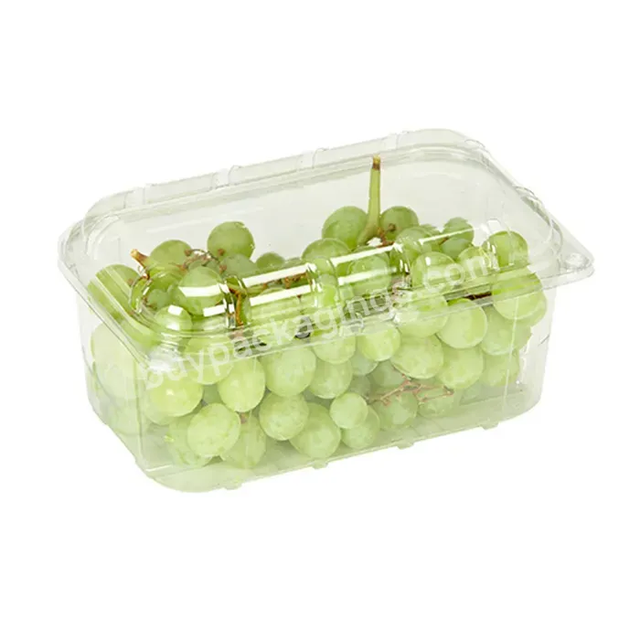 Custom Plastic Clear Clamshell Fresh Fruit And Vegetable Storage Salad Container To Go Take Away With Lid