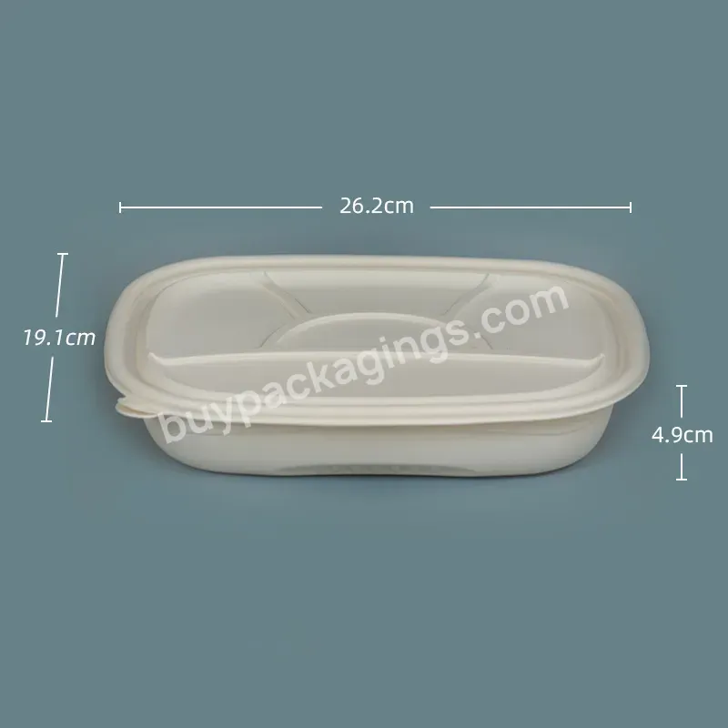 Custom Plastic Lunch Box Wholesale Eco Biodegradable Takeaway Packaging Plastic Food Container Disposable