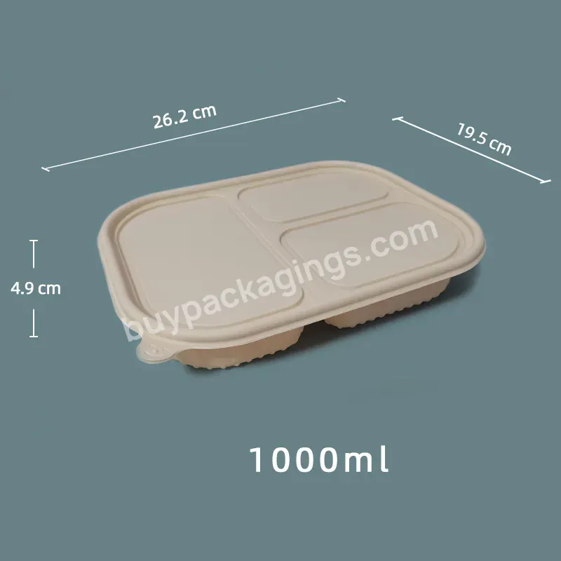 Custom Plastic Lunch Box Wholesale Eco Biodegradable Takeaway Packaging Plastic Food Container Disposable