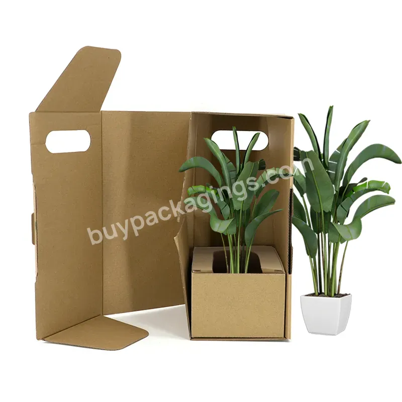 Custom Printed Terrarium Plants Thick Packaging Corrugated Shipping Box Plant Box Diy