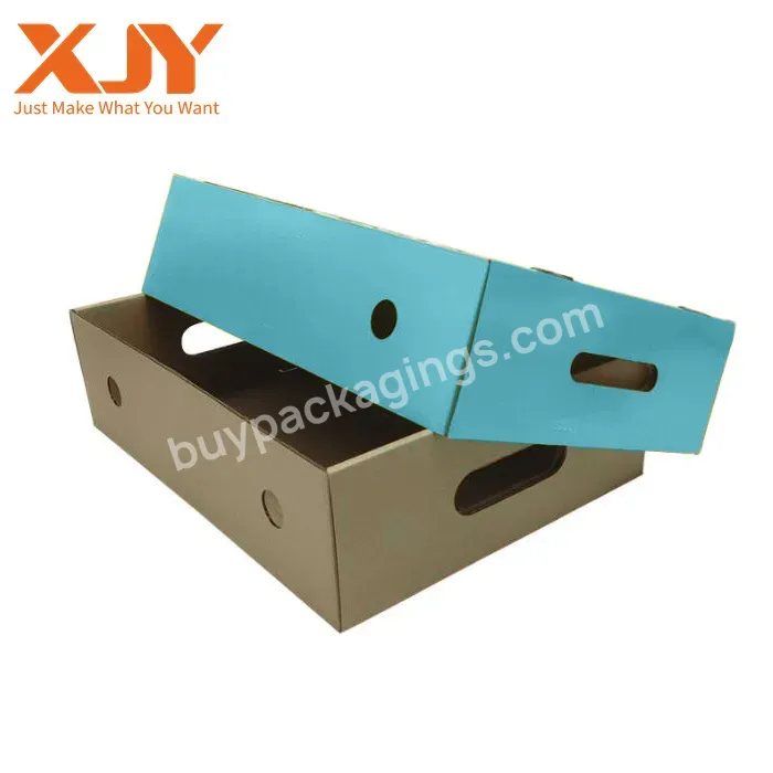Customized Fruit Carton Box Apples / Cardboard Box For Fruit And Vegetable