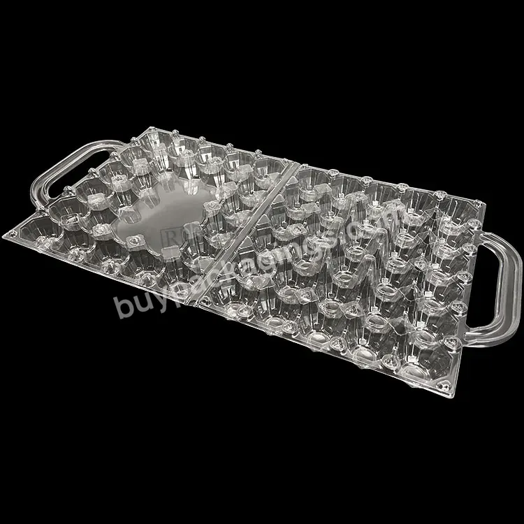 Disposable 30 Holes Egg Packing Tray Suppliers Transparent Pet Plastic Blister Trays For Eggs With Handle