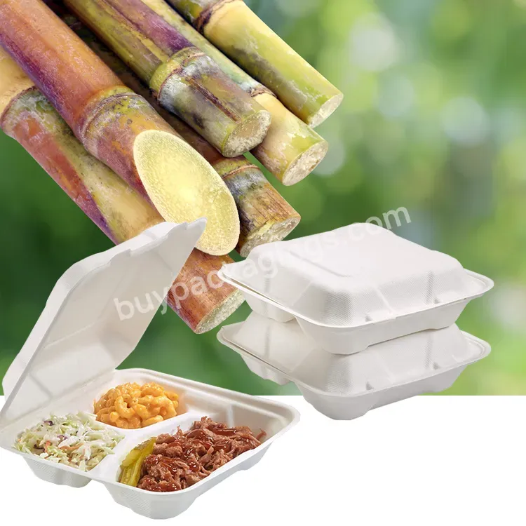 Disposable Biodegradable Tableware Dinner Unbleached 9*6 Inch Burger To Go Food Container Lunch Box Sugarcane Bagasse Clamshell