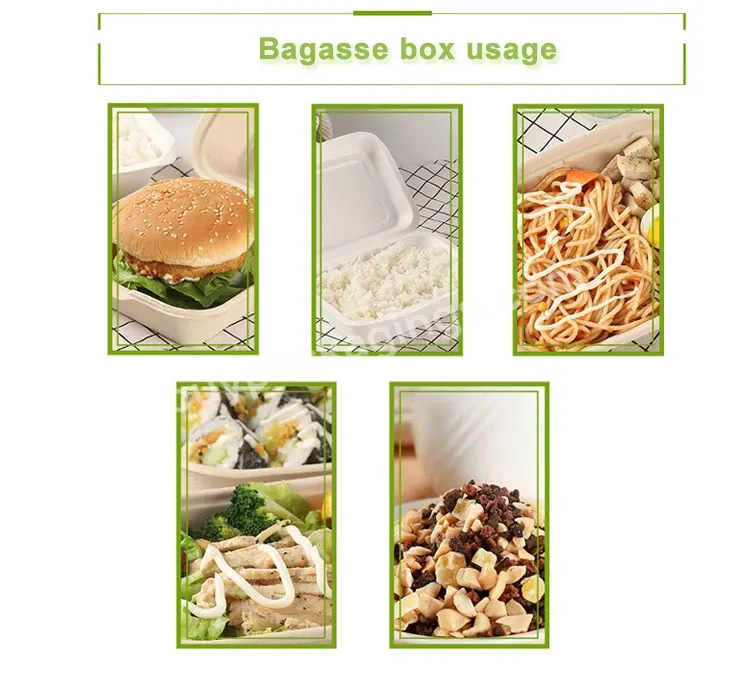 Disposable Food Grade Hamburger Box Material Food Grade Burger Box Sugar Cane Box