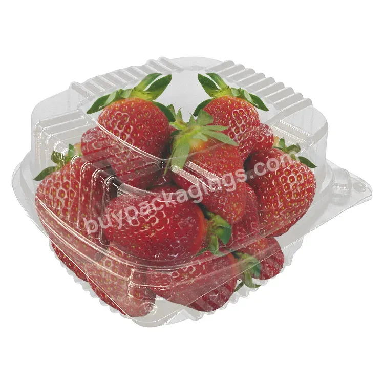 Disposable Fresh Fruit Salad Containers Transparent Wholesale Pet Plastic Free Agriculture Rosin Standard Packing Carton Accept