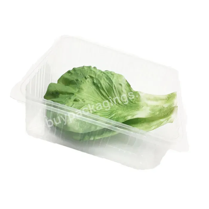 Disposable Plastic Food Deli Container For Nuts Vegetable Blister Plastic Clear Container For Fruit And Vegetable