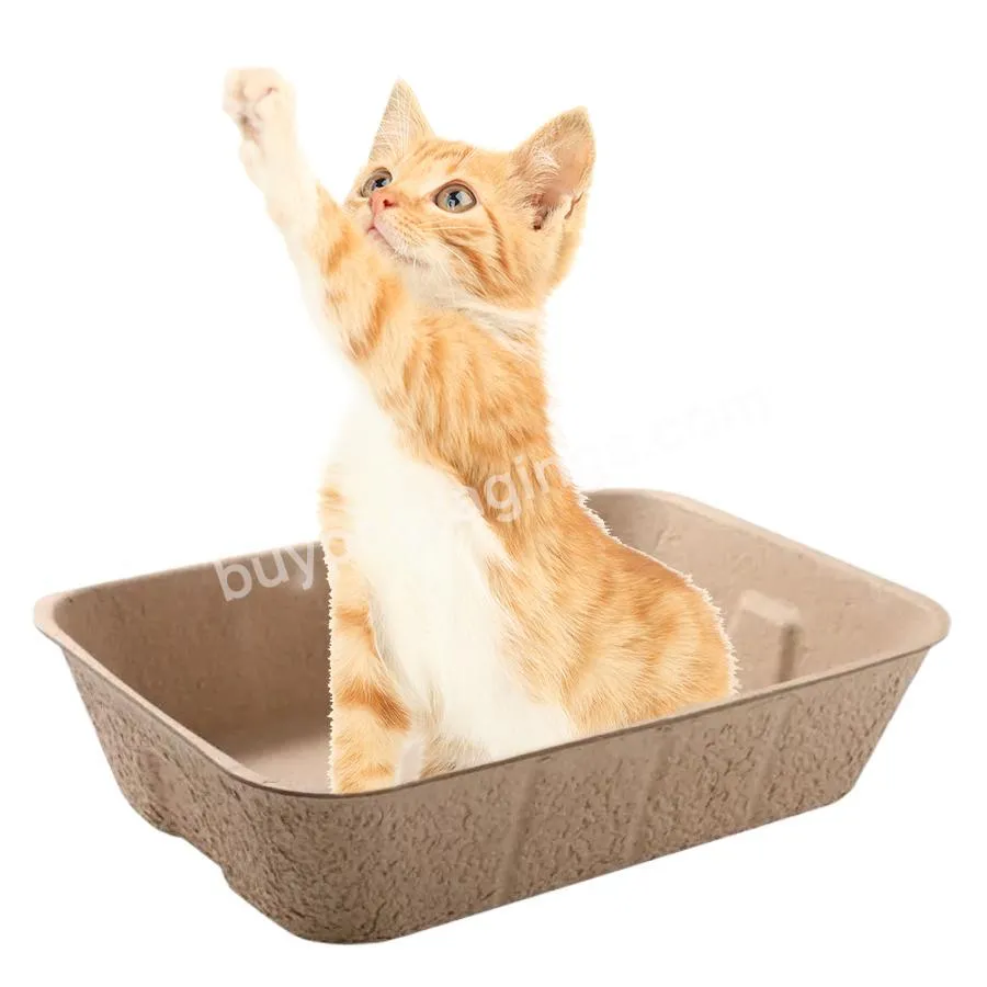 Eco-friendly Disposable Sifting Paper Fiber Pulp Cat Litter Cardboard Tray Box With Cat Litter - Buy Eco-friendly Paper Disposable Cat Litter Box,Disposable Cat Litter Tray With Cat Litter,Cardboard Paper Fiber Disposable Cat Litter Box.