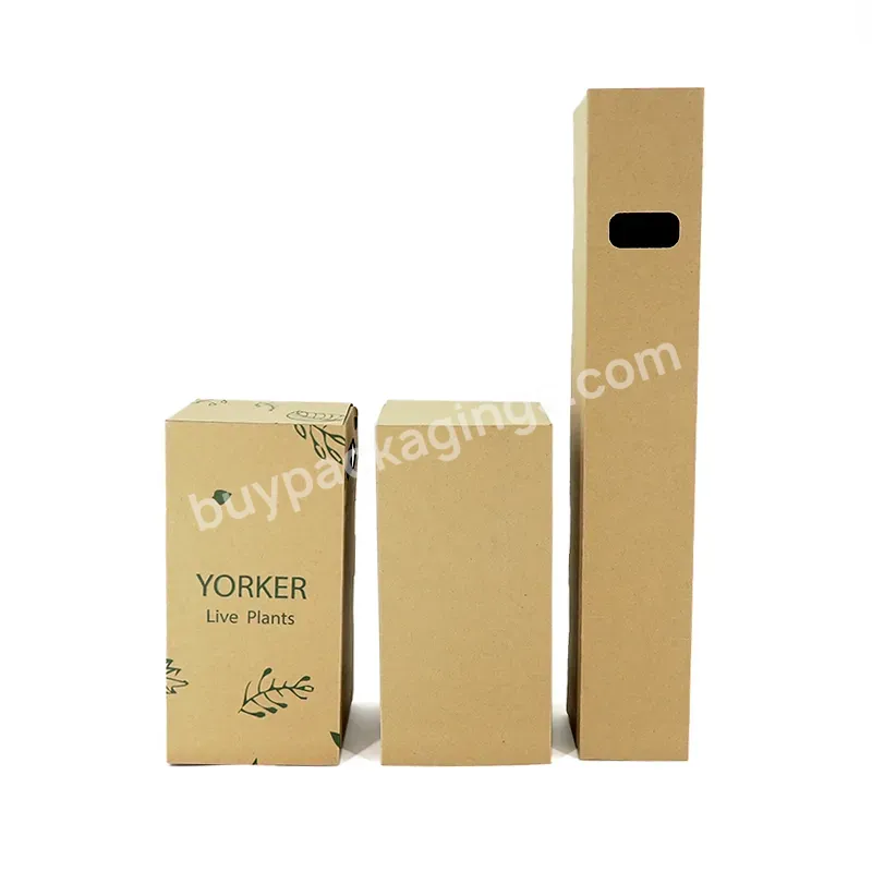 Eco-friendly Factory Recycle Paper Corrugated Carton Plant Packaging Box Gift Box For Kids