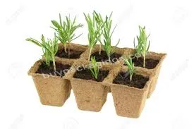 Environmental Friendly Green Plant Seedling Nursery Tray Seedling Cup Molded Pulp Paper Plant Pot