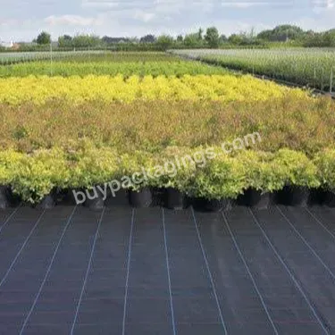 Environmentally Friendly And Recyclable Black Thickened Agricultural Woven Weed Mat - Buy High-end Environmentally Friendly Anti-weed Mat,Natural Grass Woven Mats,Thickened Agricultural Woven Weed Mat.