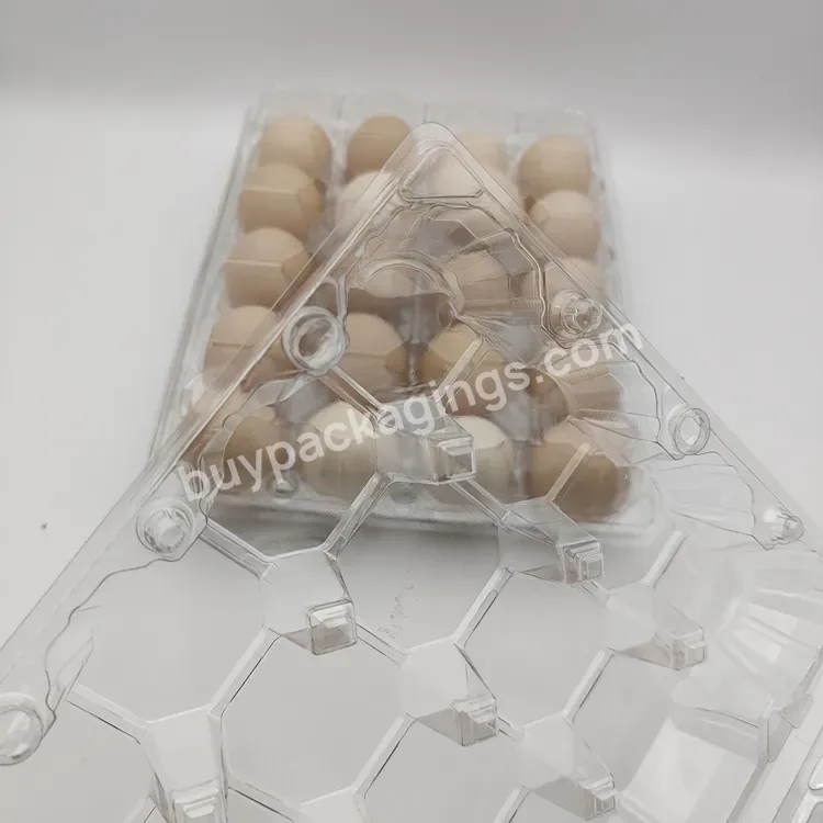 Factory Supply Transparent Disposable Pet Disposable Clamshell Transparent Pet Plastic Blister Egg Tray