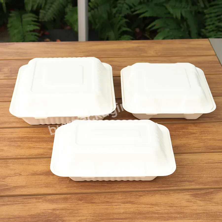 Factory Wholesale Bio-degradable Bagasse Bento Box Sugar Cane Box