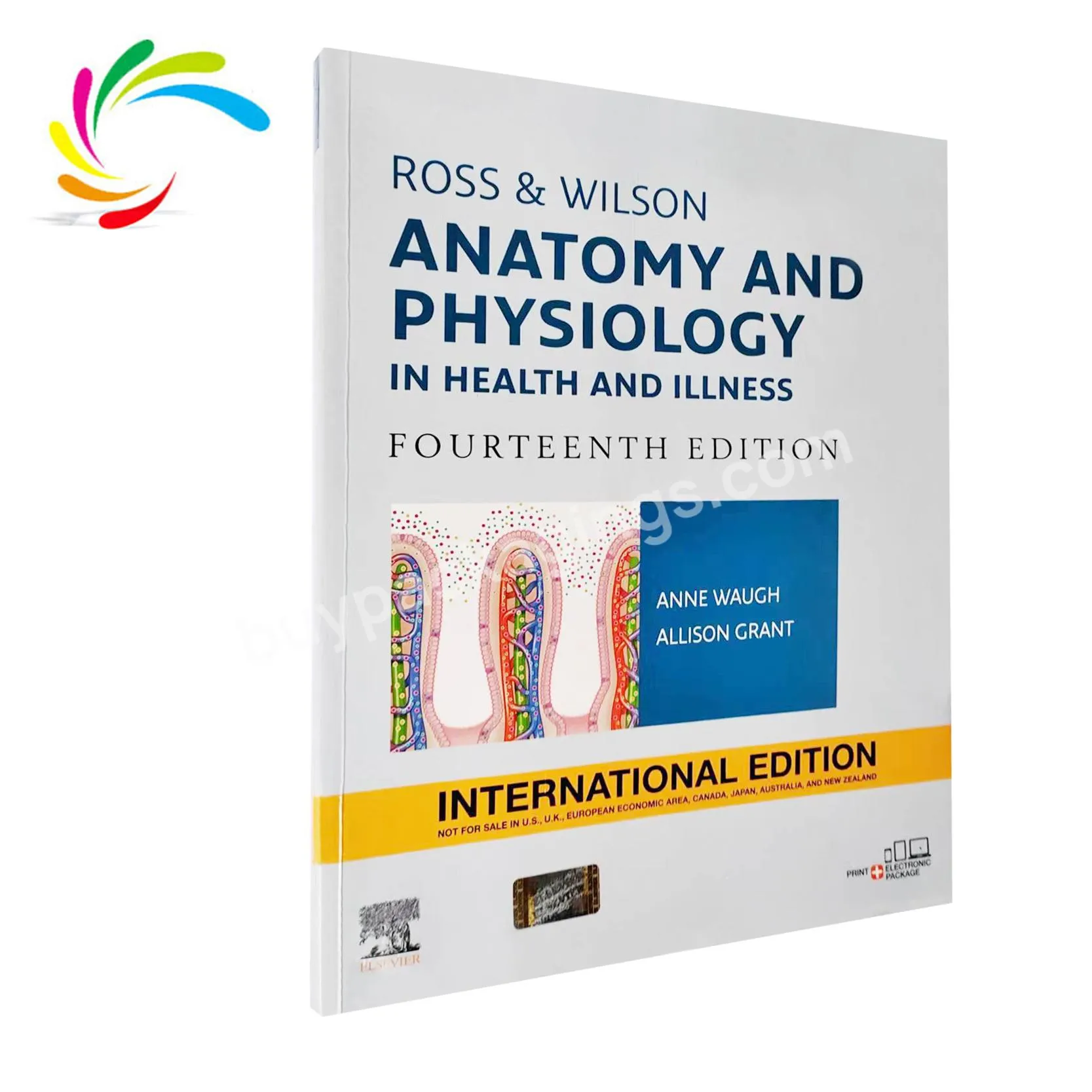 Fast Delivery Books Printing factory customized full-color printing of the latest medical Anatomy  And Physiology books