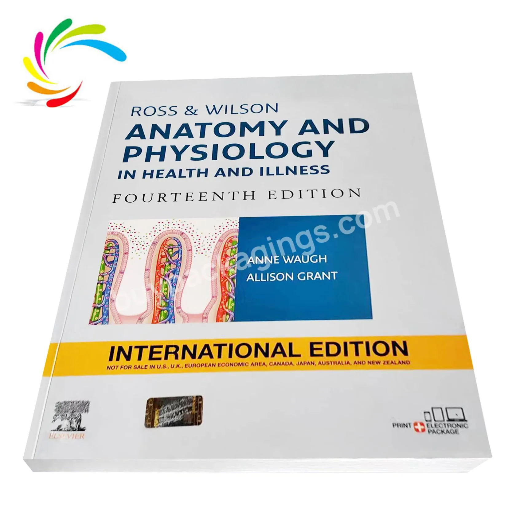 Fast Delivery Books Printing factory customized full-color printing of the latest medical Anatomy  And Physiology books