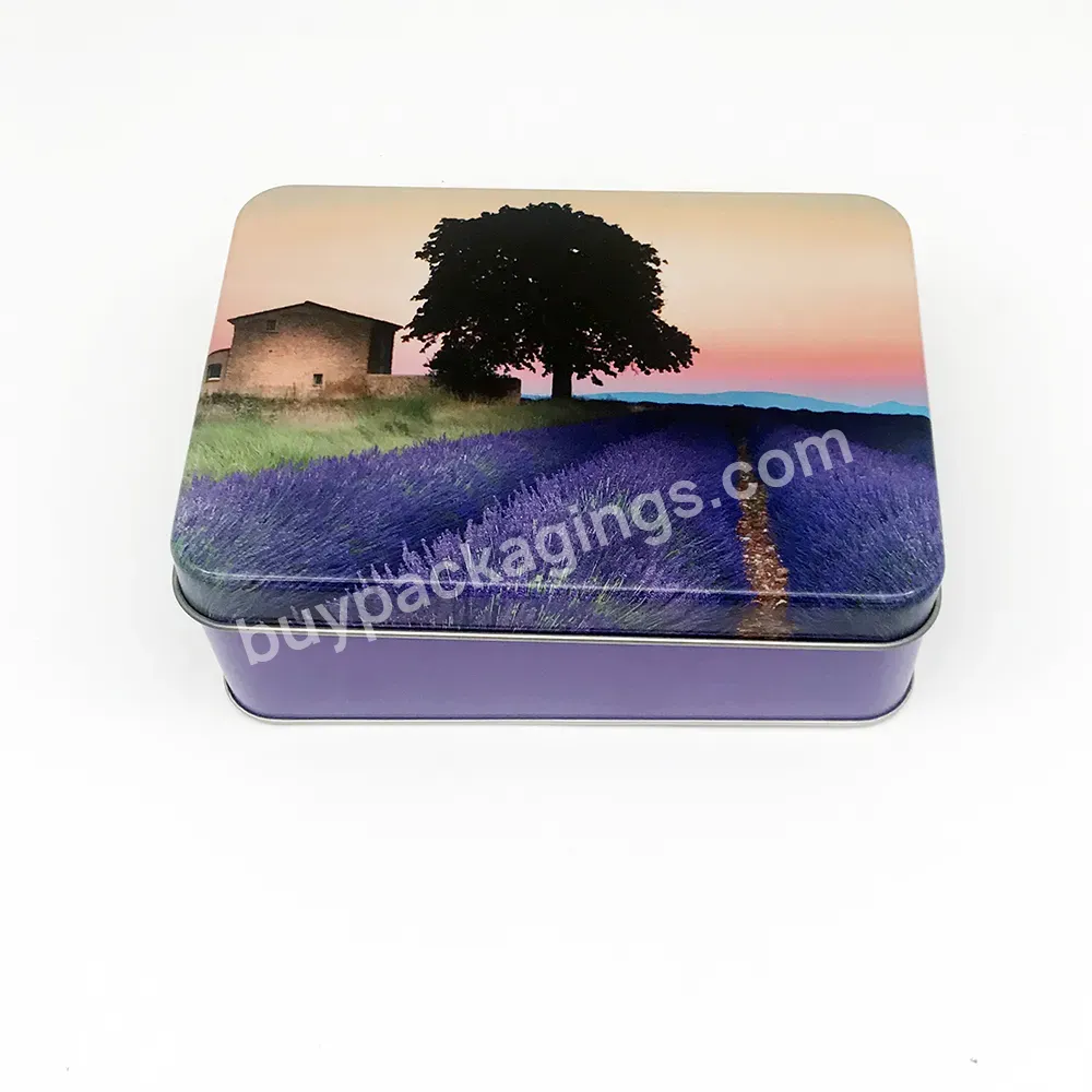 Food Grade Customized Printing Rectangle Europe Biscuit Tin Box