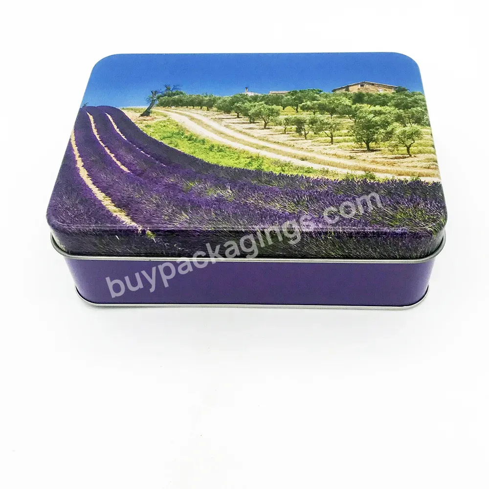 Food Grade Customized Printing Rectangle Europe Biscuit Tin Box