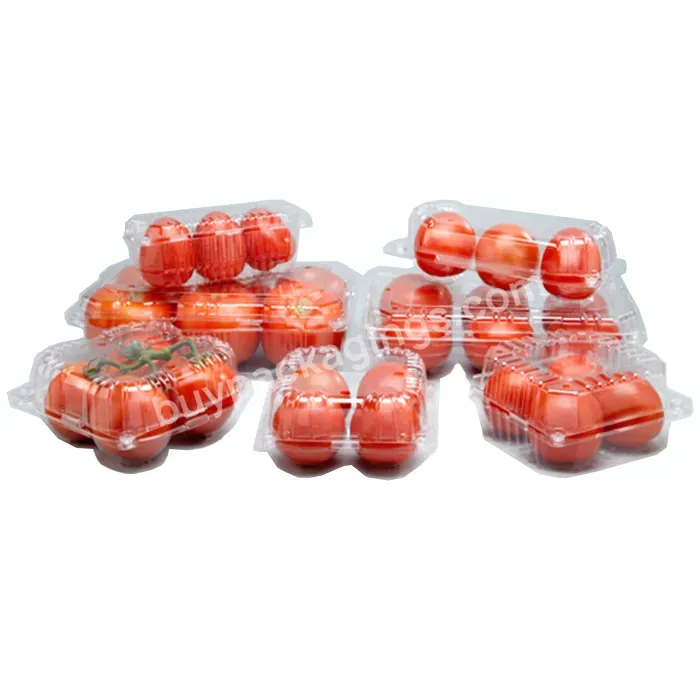 Food Grade Plastic Blister Biodegrade Food Packaging Tray Disposable Takeaway Sushi Plastic Pp Frozen Tray