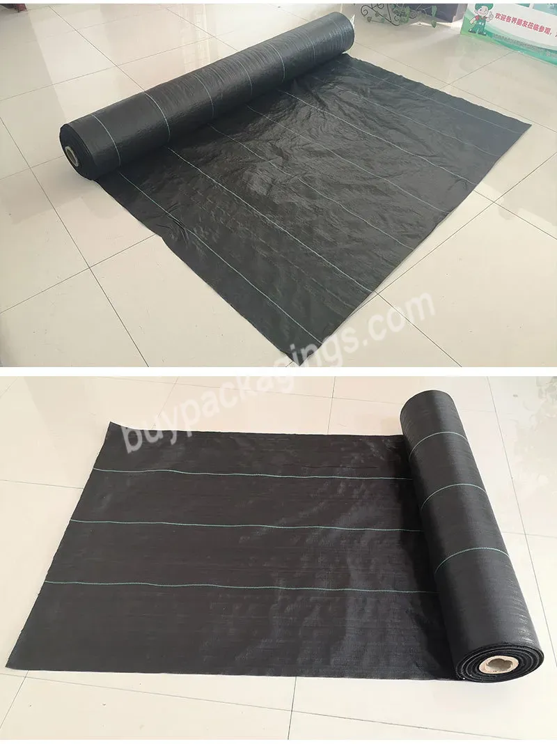 Garden Plastic Fabric Ground Cover Weed Barrier Mat With Ce Mark