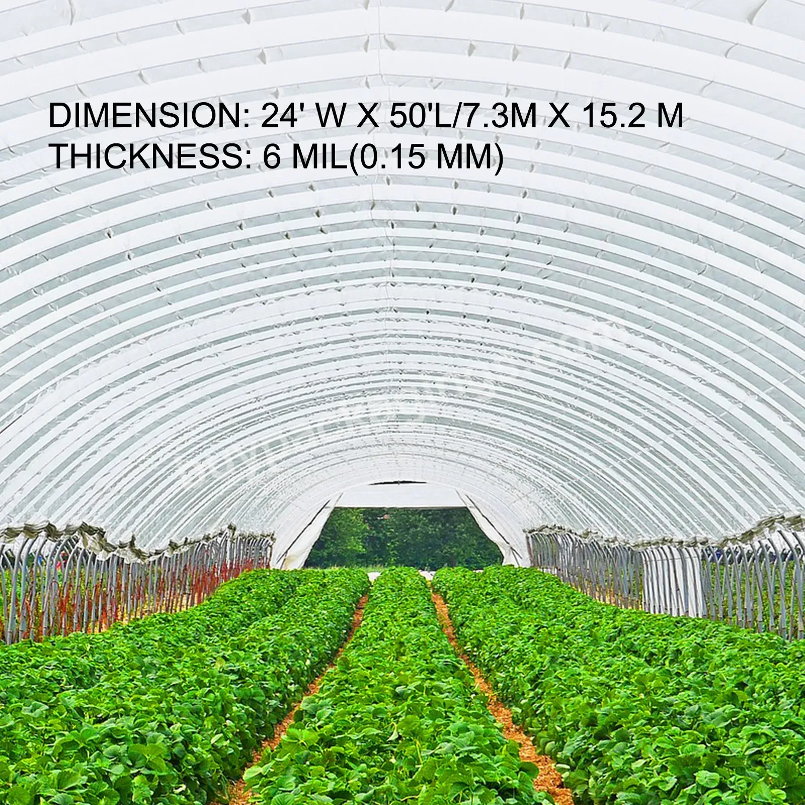 Greenhouse Arches Film Single Span Tunnel Greenhouse Plastic Film For Agriculture Vegetables