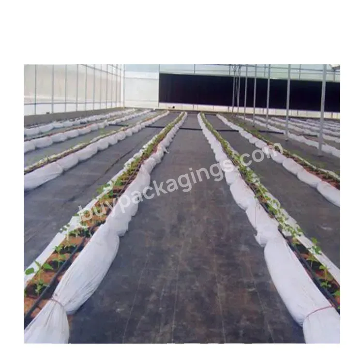 Greenhouse Ground Floor Protective Film Anti Grass Ground Cover Weed Control Fabric Mat Roll - Buy Greenhouse Weed Mat,Weed Mat Roll,Weed Mat Fabric.