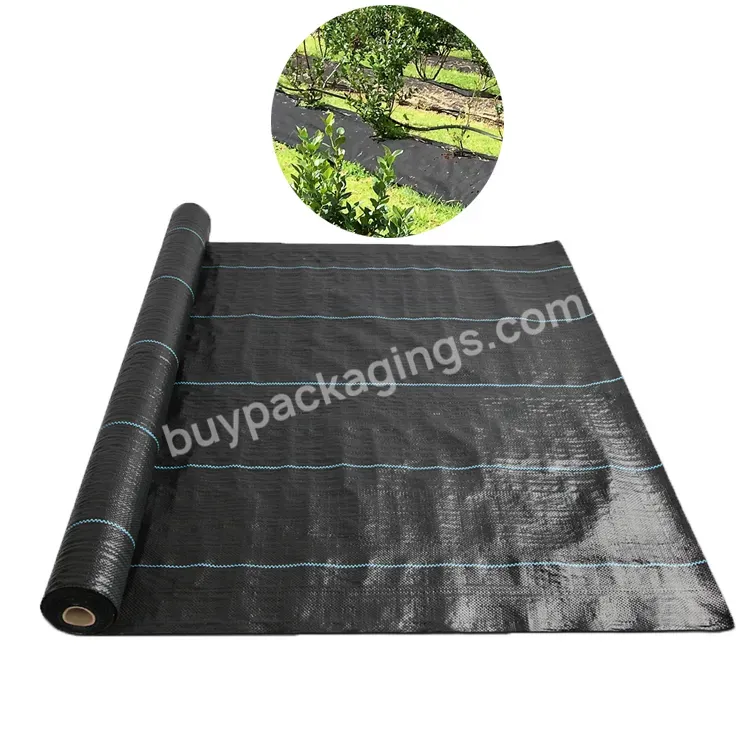 Ground Cover Black Pp Woven Weed Control Fabric Mat