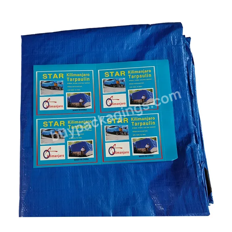 Heavy Duty Waterproof Polyethylene Customized Tarpaulin Plastic Sheet 4m*6m
