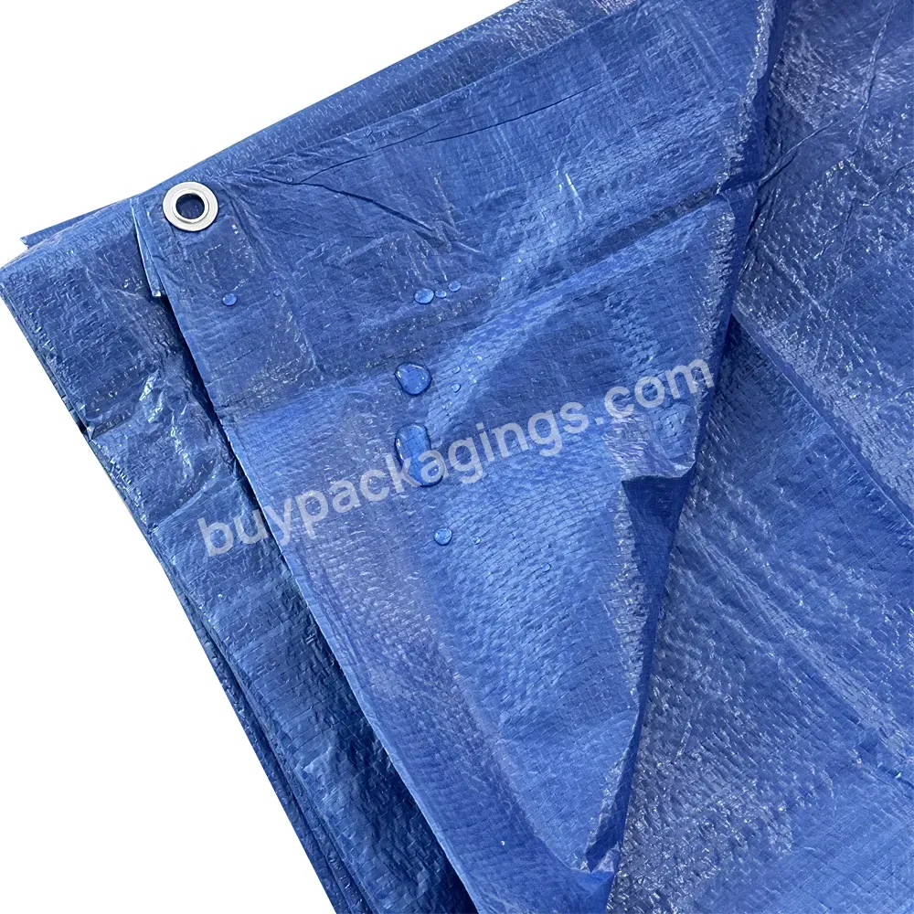 High Strength Pe Canvas Tarpaulin In Roll For Agriculture Industrial Outdoor And Covers Pe Tarpaulin Roof
