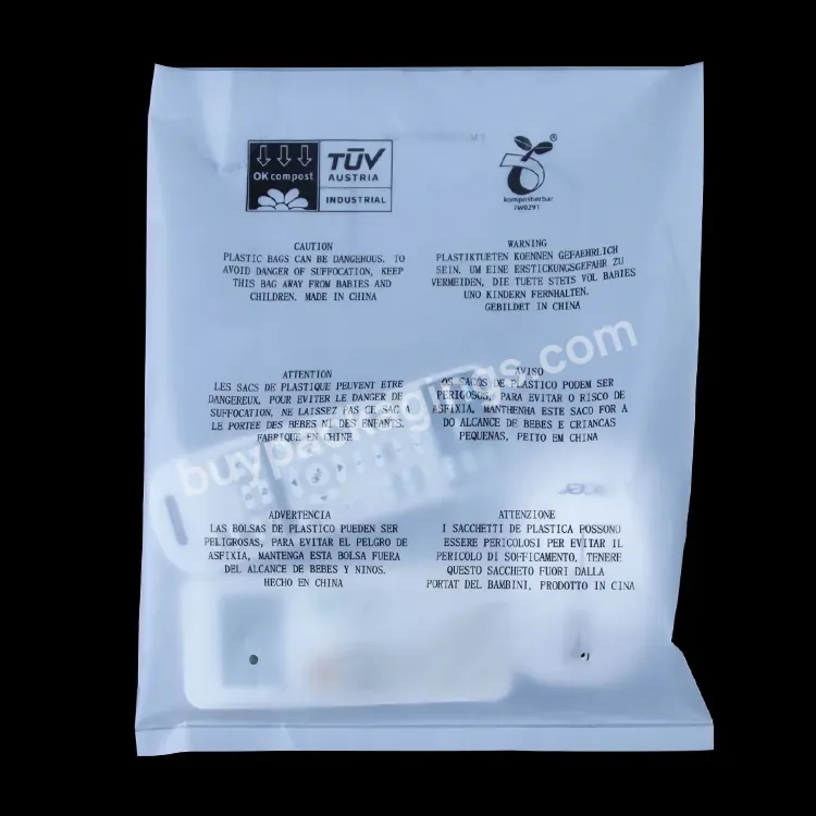 Hot Selling Biodegradable Bag Compostable Flat Bag For Packaging Toy Bag