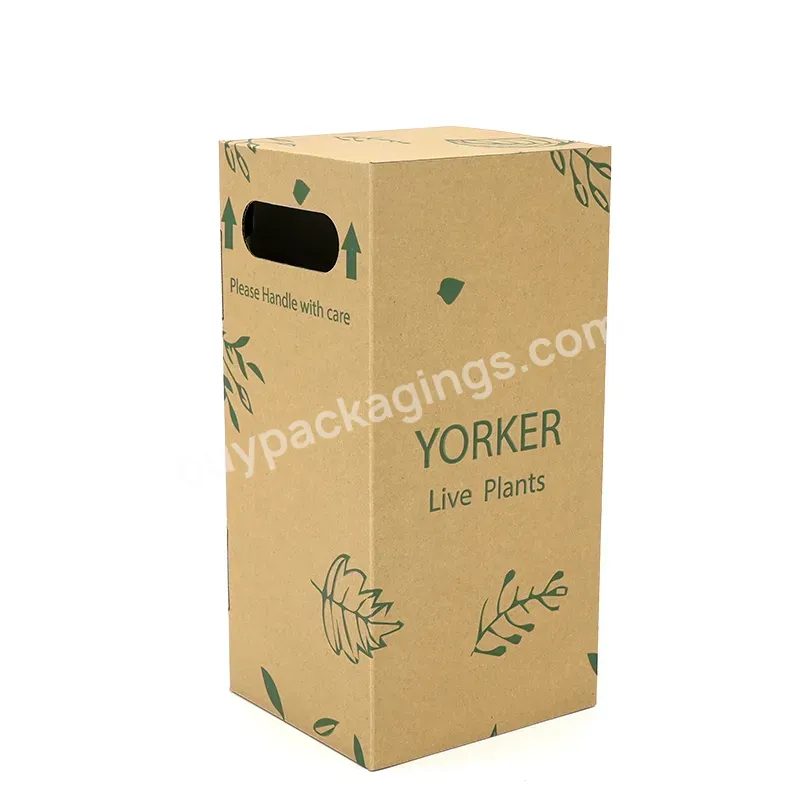 Luxury Makeup Cosmetic Paper Corrugated Plant Box Packaging